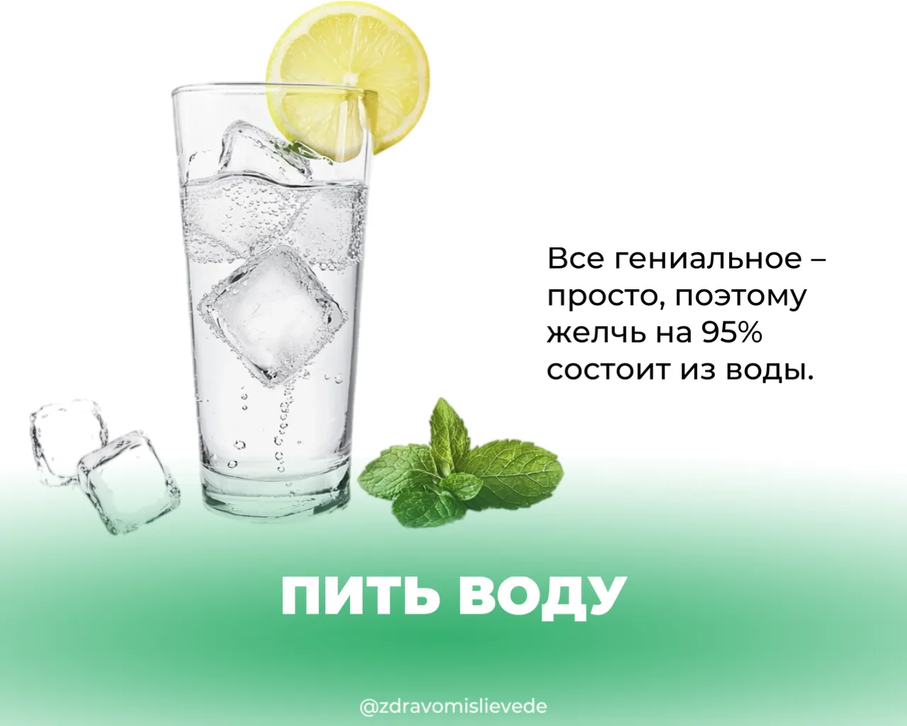 Нет жёлчного пузыря = нет проблем с желчеоттоком?  Вчера затронули желчеооток и сразу всплыл вопрос: