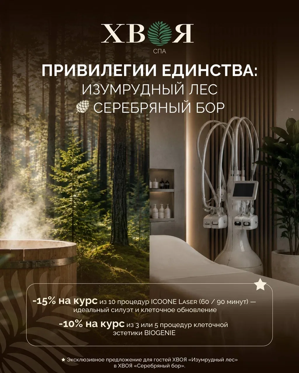 Привилегии единства: ваша персональная экосистема заботы ХВОЯ СПА 🌿
