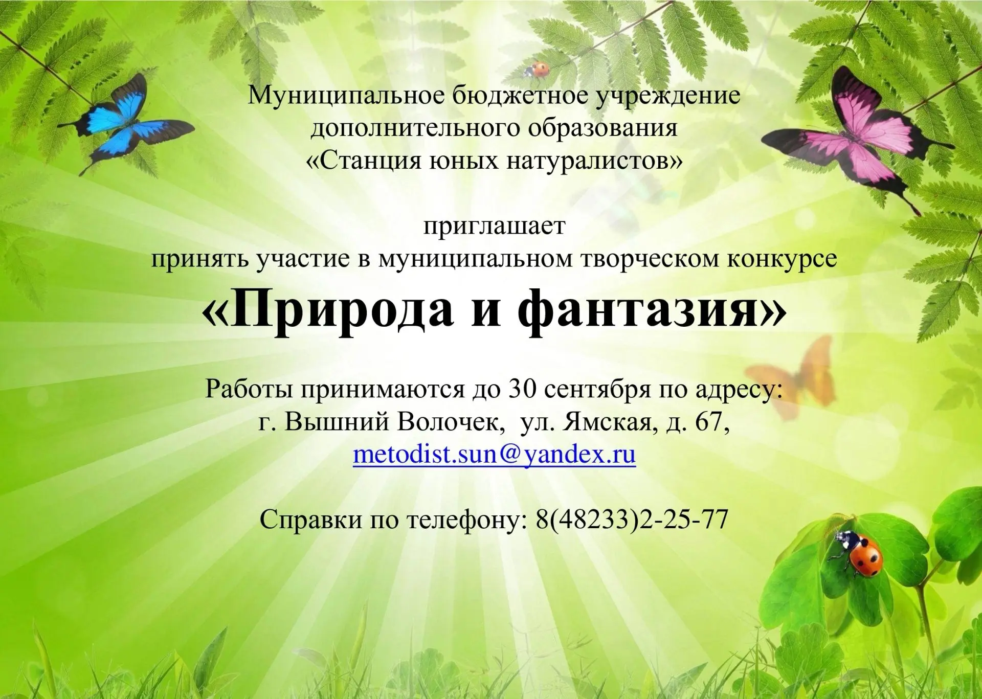 Дорогие друзья!