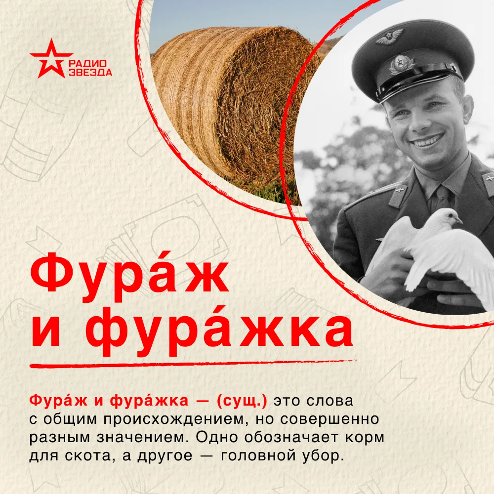 Что вы говорите?
Удивительная жизнь слов

Фура́ж и фура́жка — это слова с общим происхождением, но с
