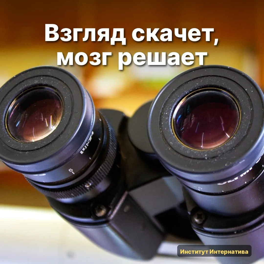 🧠 На прошлой неделе вышел препринт, одна деталь там цепляет меня до сих пор.