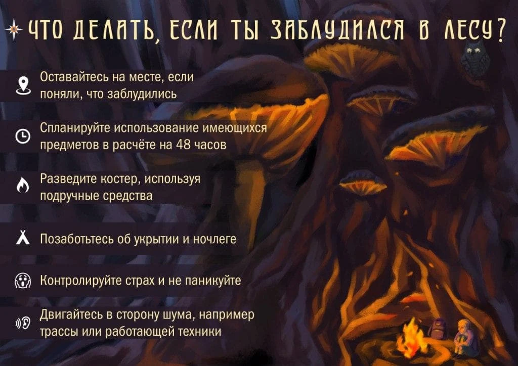 🍄‍🟫 Любителям "тихой" охоты на заметку !