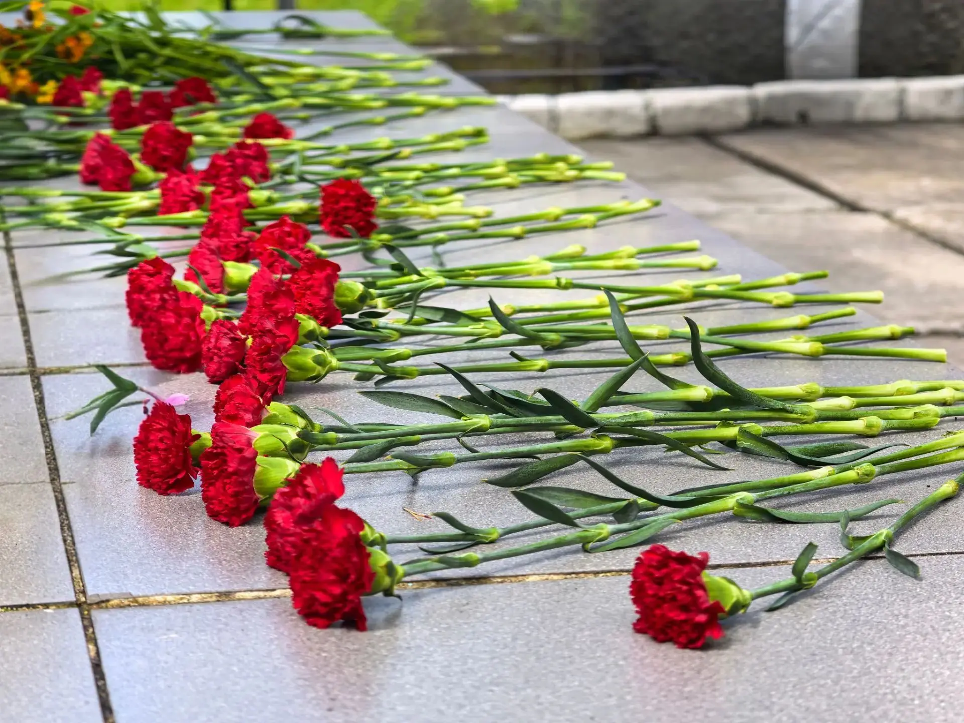 3 сентября — День окончания Второй мировой войны и День солидарности в борьбе с террори...