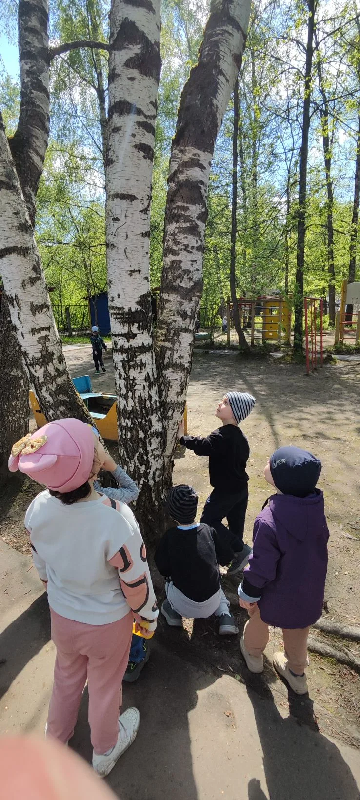 К нам в детский сад к ребятам в гости прилетел майский жук🪲На прогулке ребята понаблюд...