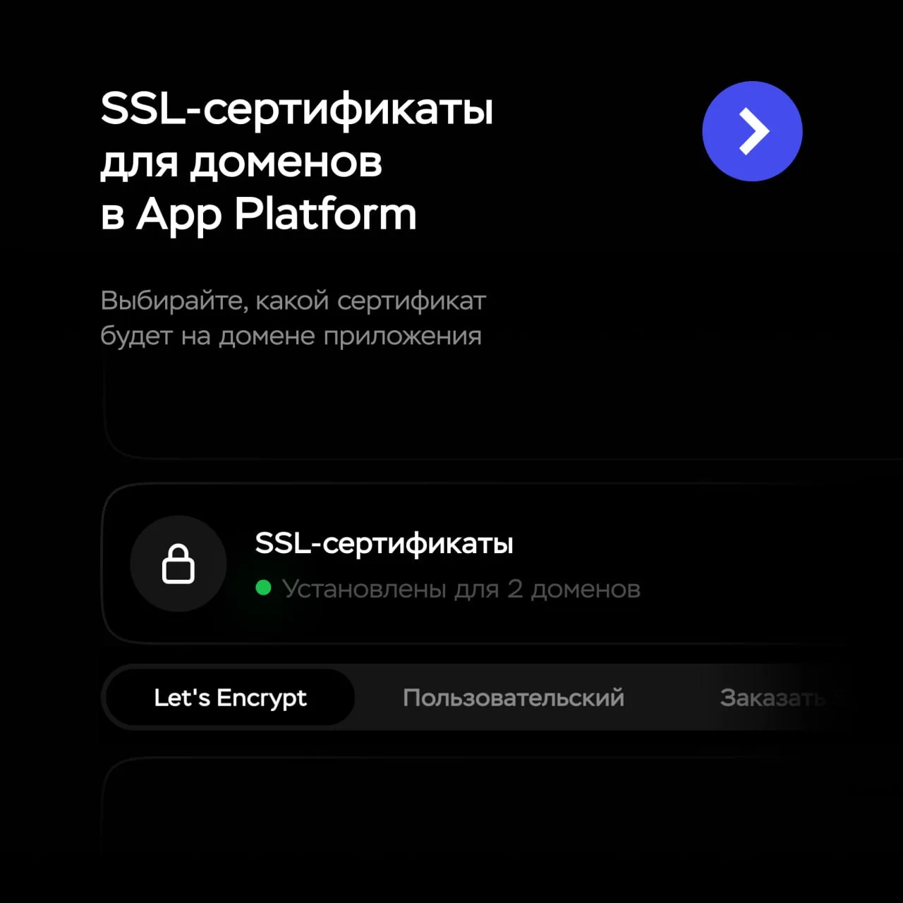 Выбрать свой сертификат для домена