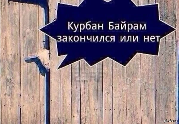 Друзья, завтра вебинара от наших техспециалистов не будет — в Татарстане отмечают Курба...