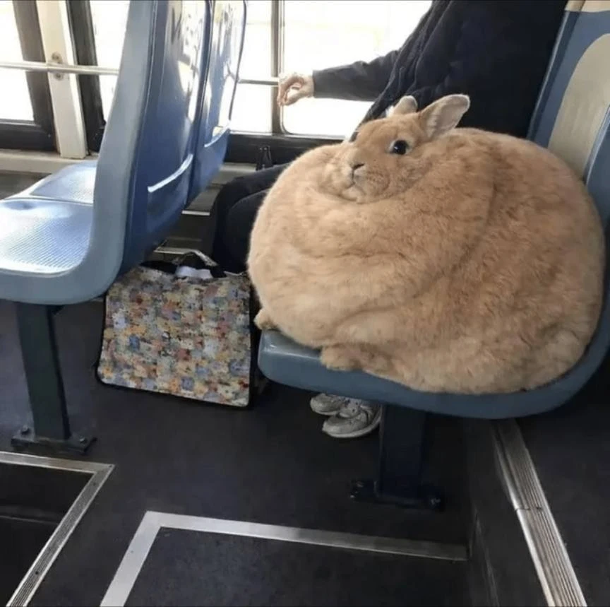 как ваши дела?
