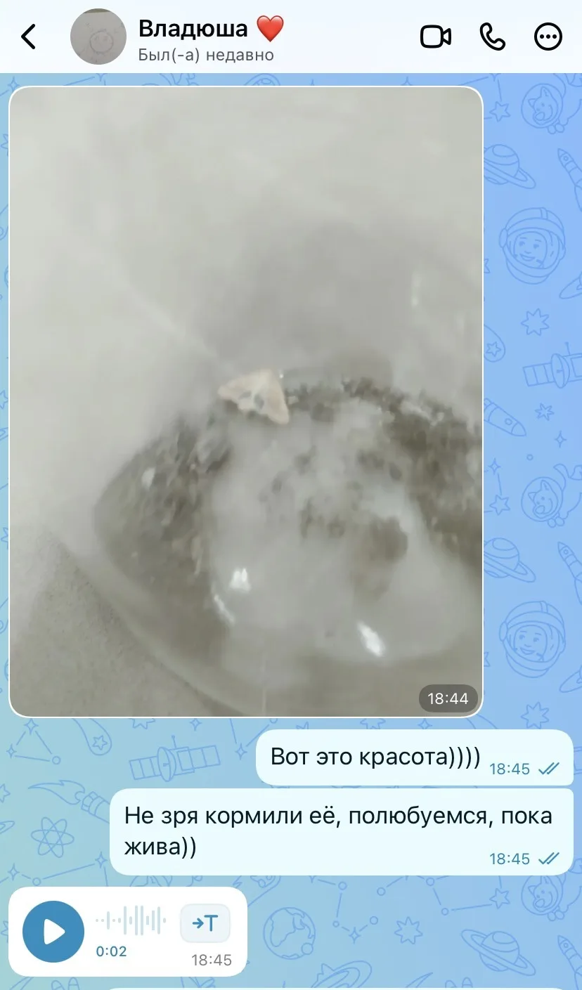 Привет, друзья ❤️