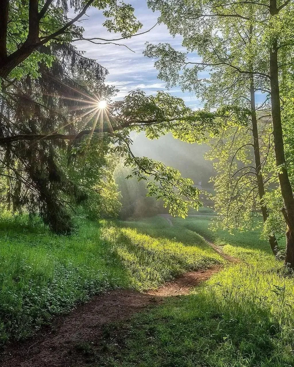 Павловский парк на рассвете 😍

Чистый мёд 💚

Подписывайтесь на самый большой канал про Санкт-Петер