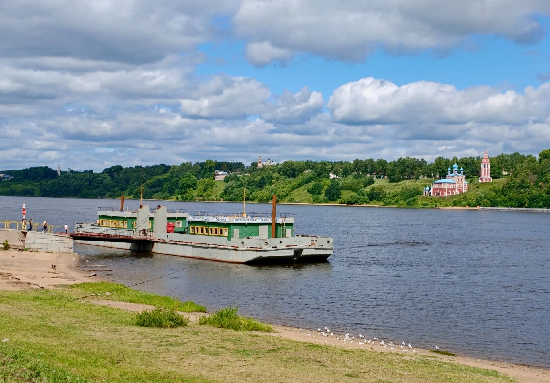 Тутаев домашний.