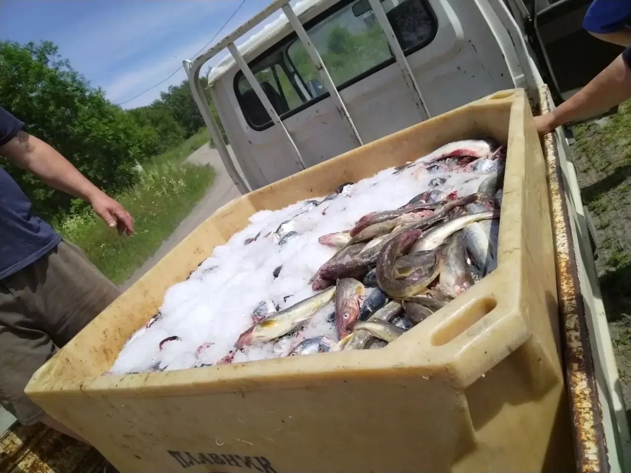 В Буюклах бесплатно раздали 3 тонны рыбы 🐟

В селе Буюклы в рамках проекта «Доступная рыба», которы