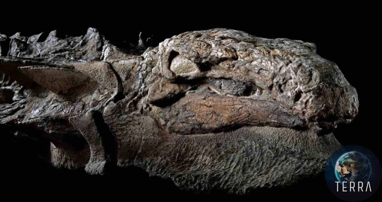 Археологи обнаружили  «мумию» динозавра 🦖