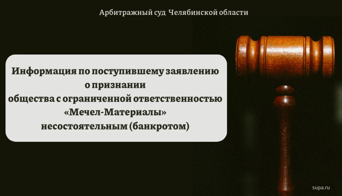Информация по делу № А76-22268/2026