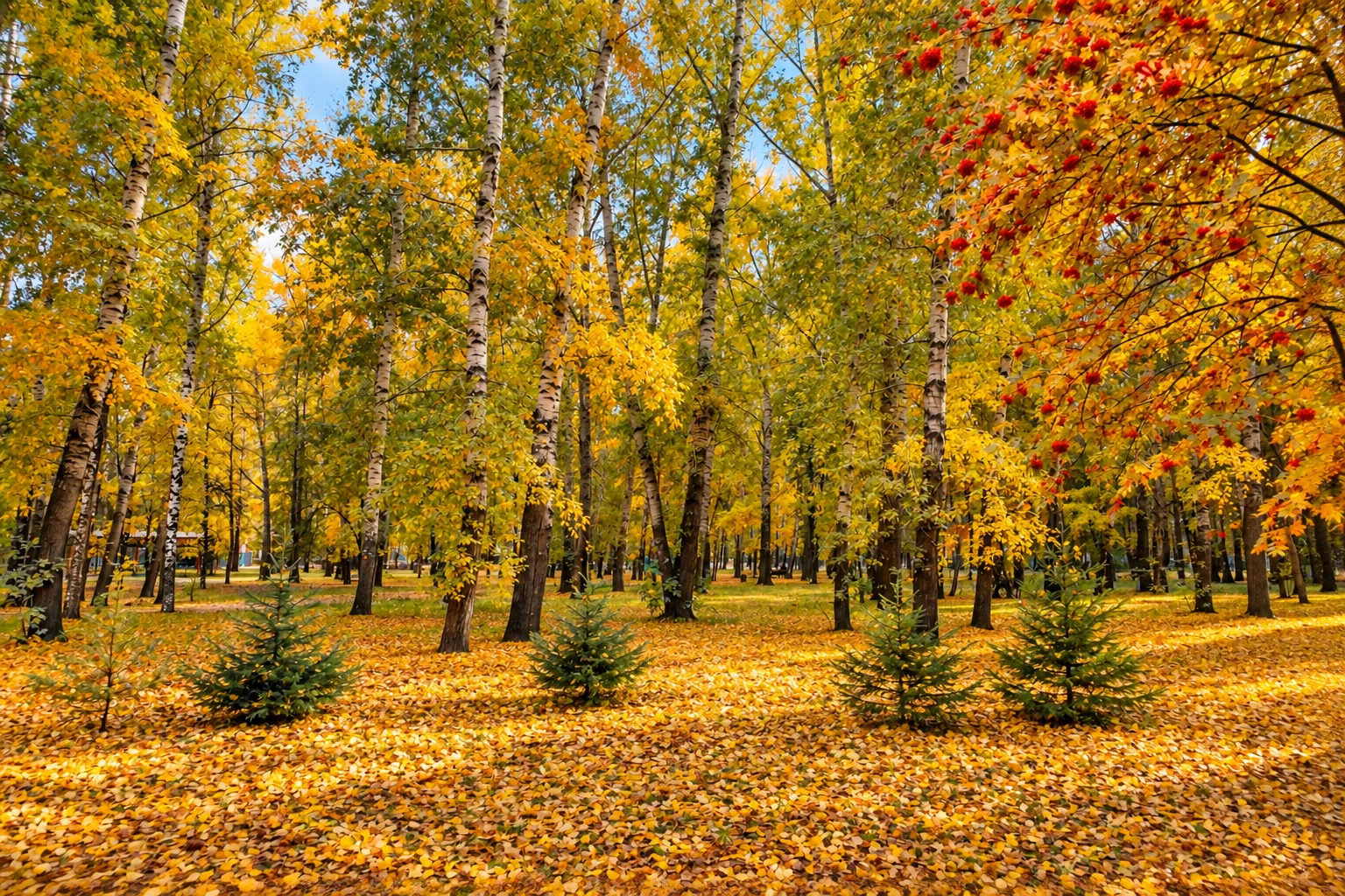 🌅 ДОБРОЕ УТРО, КУЗБАСС!
