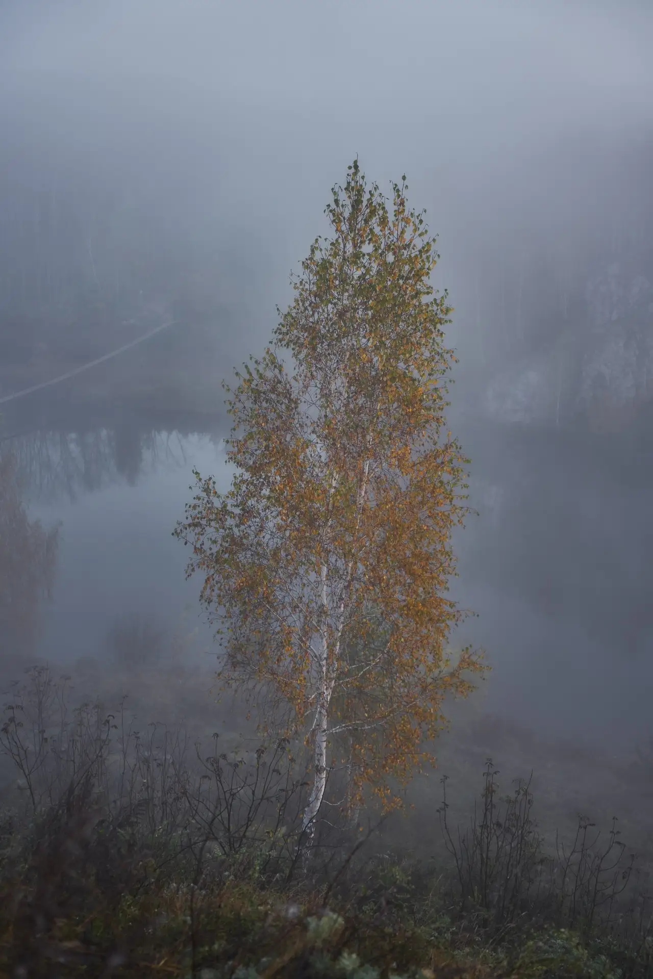 🌫 Осенний туман в Каменске-Уральском. Целая подборка атмосферных кадров от Александра ...