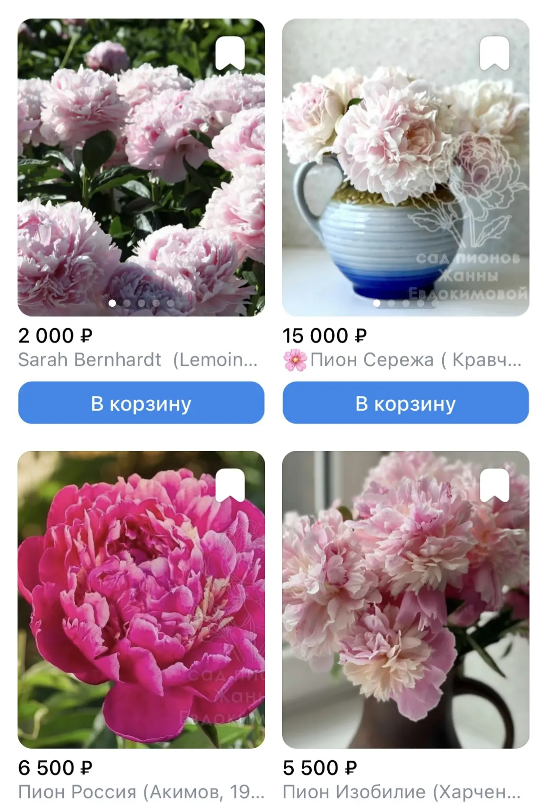 Альбом для заказа тут. Сорта еще добавлю по мере выкопки.