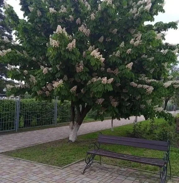 Доброе утро ☀️ 

Хорошего всем дня и приятных субботних моментов! 😊

Фото поделилась Мария Морозова