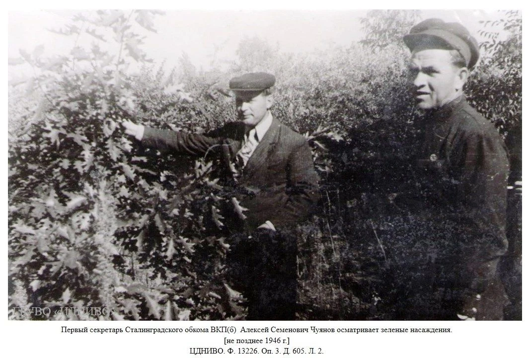 🌳Зеленое кольцо Сталинграда

🪴Дорогие друзья, сегодня, 17 июня, Всемирный день борьбы с опустынива