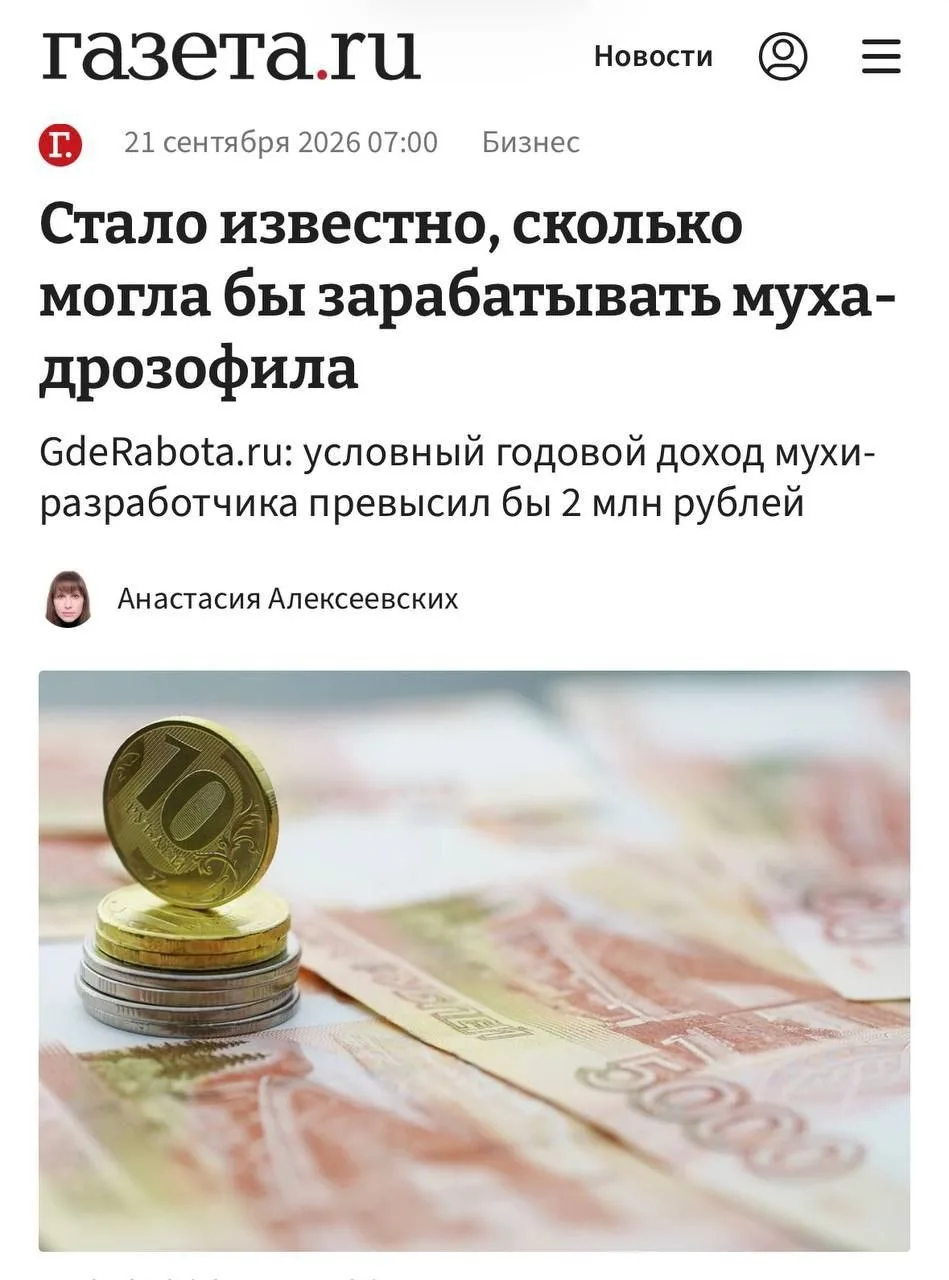 Муха-дрозофил официально зарабатывает больше айтишников.