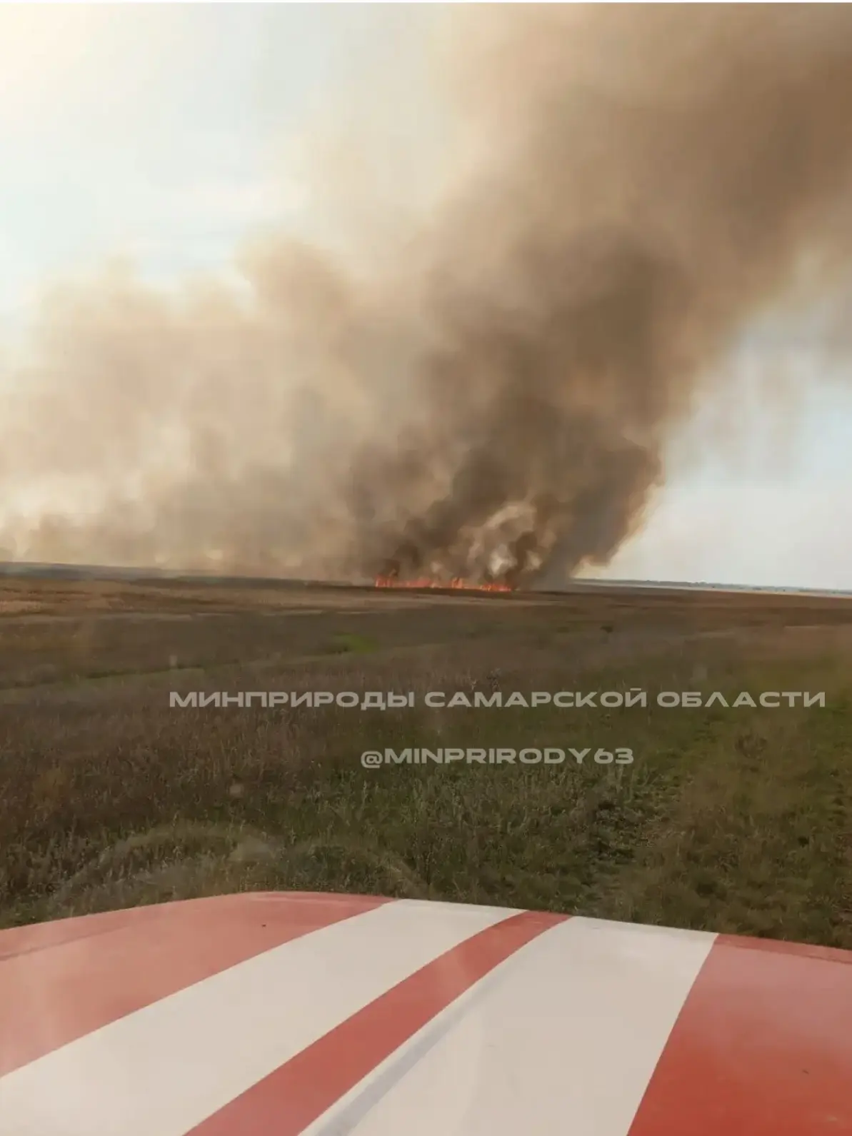 🔥 Огонь вплотную подошёл к Безенчукскому лесничеству: локализованы два возгорания на о...