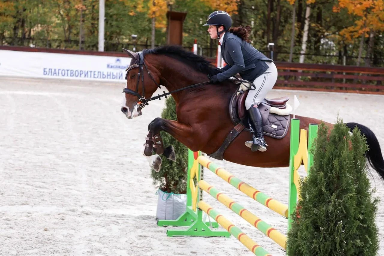 В Подольске состоялись Чемпионат и Первенство округа по конкуру памяти Подольских курса...