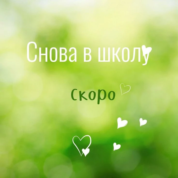 Ровно неделя до 1 сентября. Стартуем! 🎬