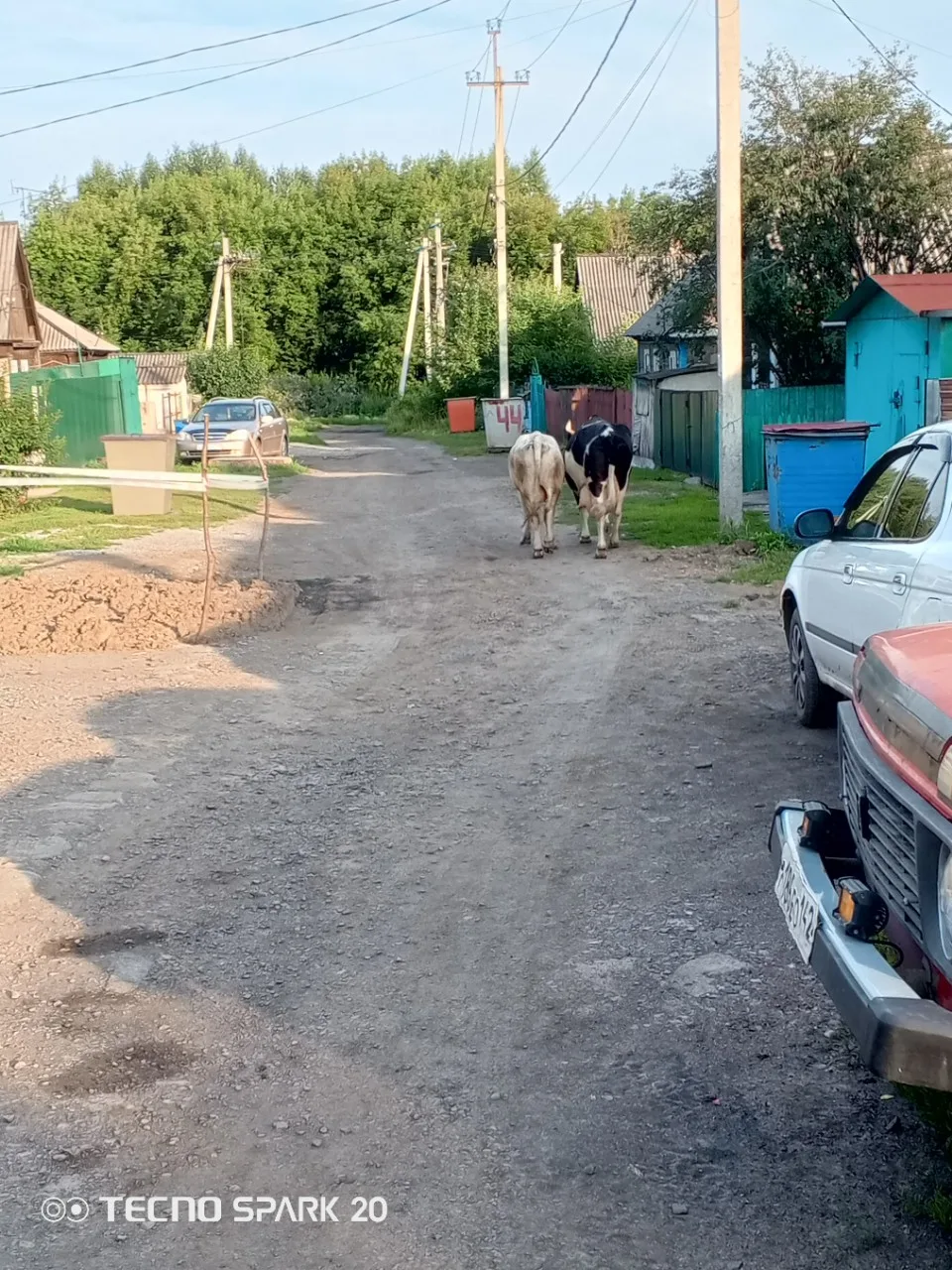 Никто корову и быка не терял пробегали по Кутузова и повернули кпо рельсам к электроламповому заводу