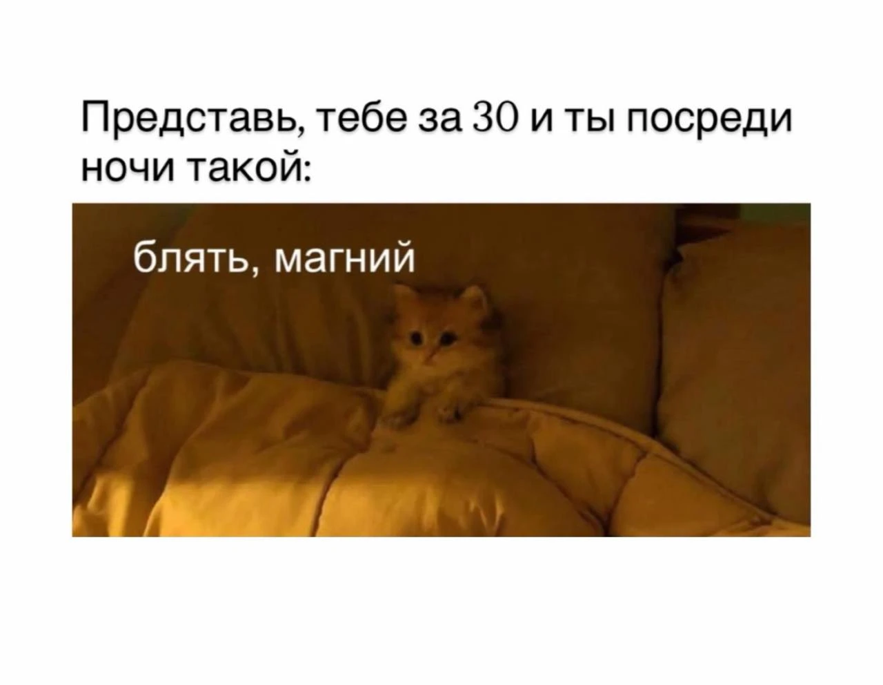 Мем дня