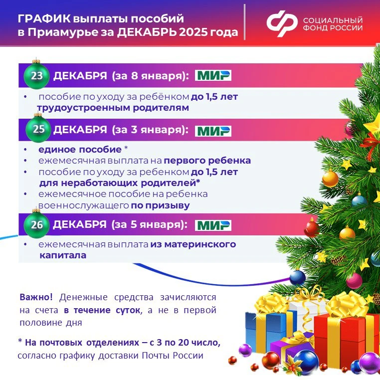 ‼ График досрочной доставки выплат от Отделения СФР по Амурской области в ДЕКАБРЕ:  23 ДЕКАБРЯ (за 8