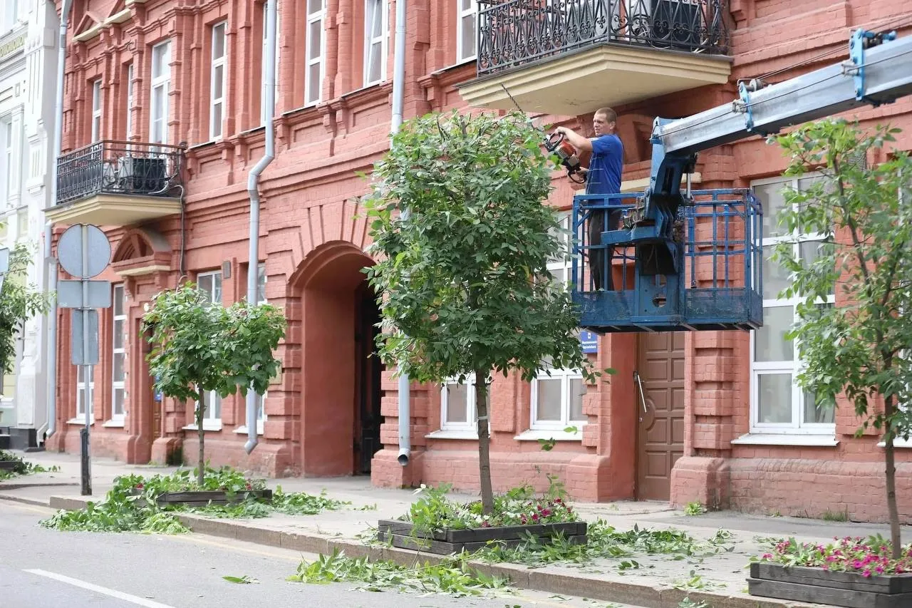 🌳🔪 В Иркутске на улице Сухэ-Батора началась формовочная обрезка деревьев! 🌳