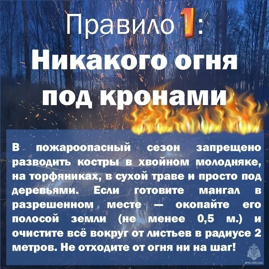 🔥Осторожно: лесные пожары. Обращение инспектора
Природа не прощает беспечности: 9 из 10 лесных пожа