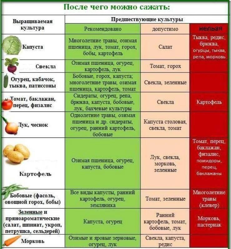 Севооборот является важной практикой, так как он способствует:

- Снижению количества сорняков в поч