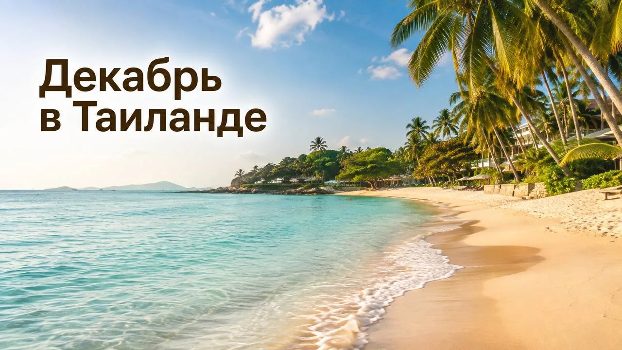 🌴 Декабрь, Паттайя и главный зимний вопрос: зачем мёрзнуть, если можно загорать?