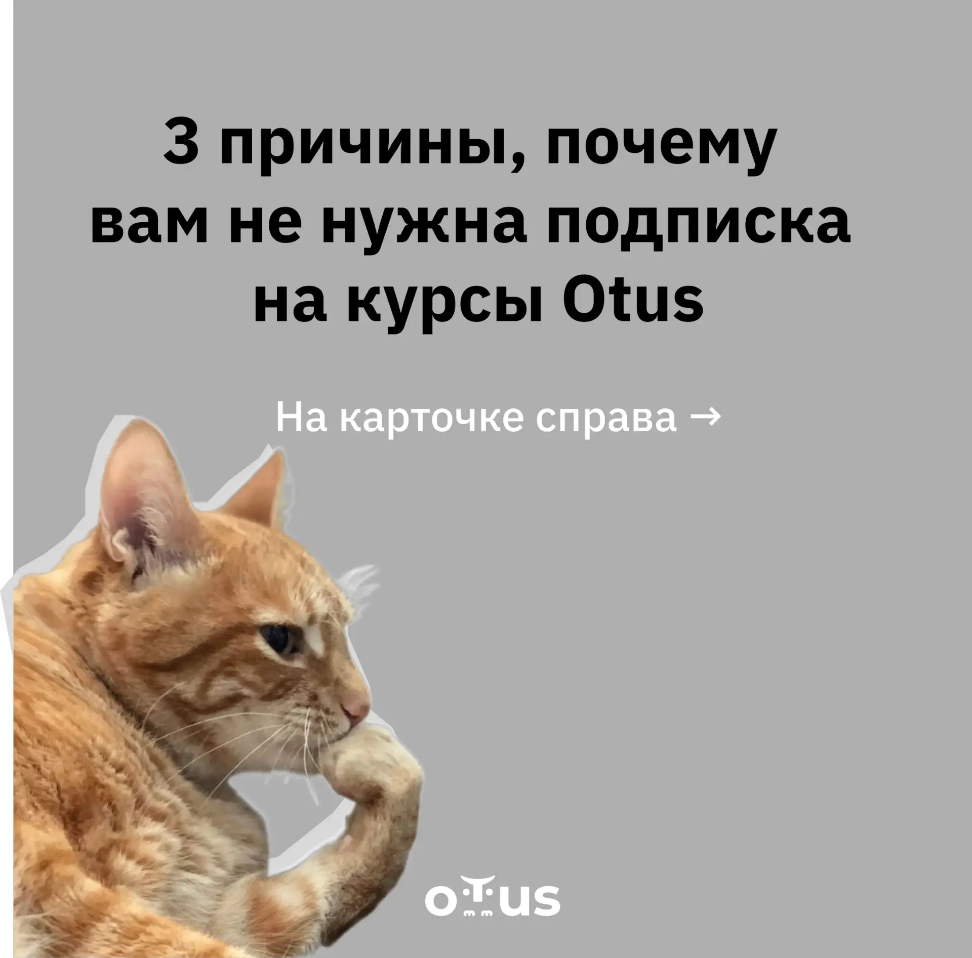 Мы не нашли ни одной причины, чтобы не оформлять подписку. Зато есть несколько, почему ...