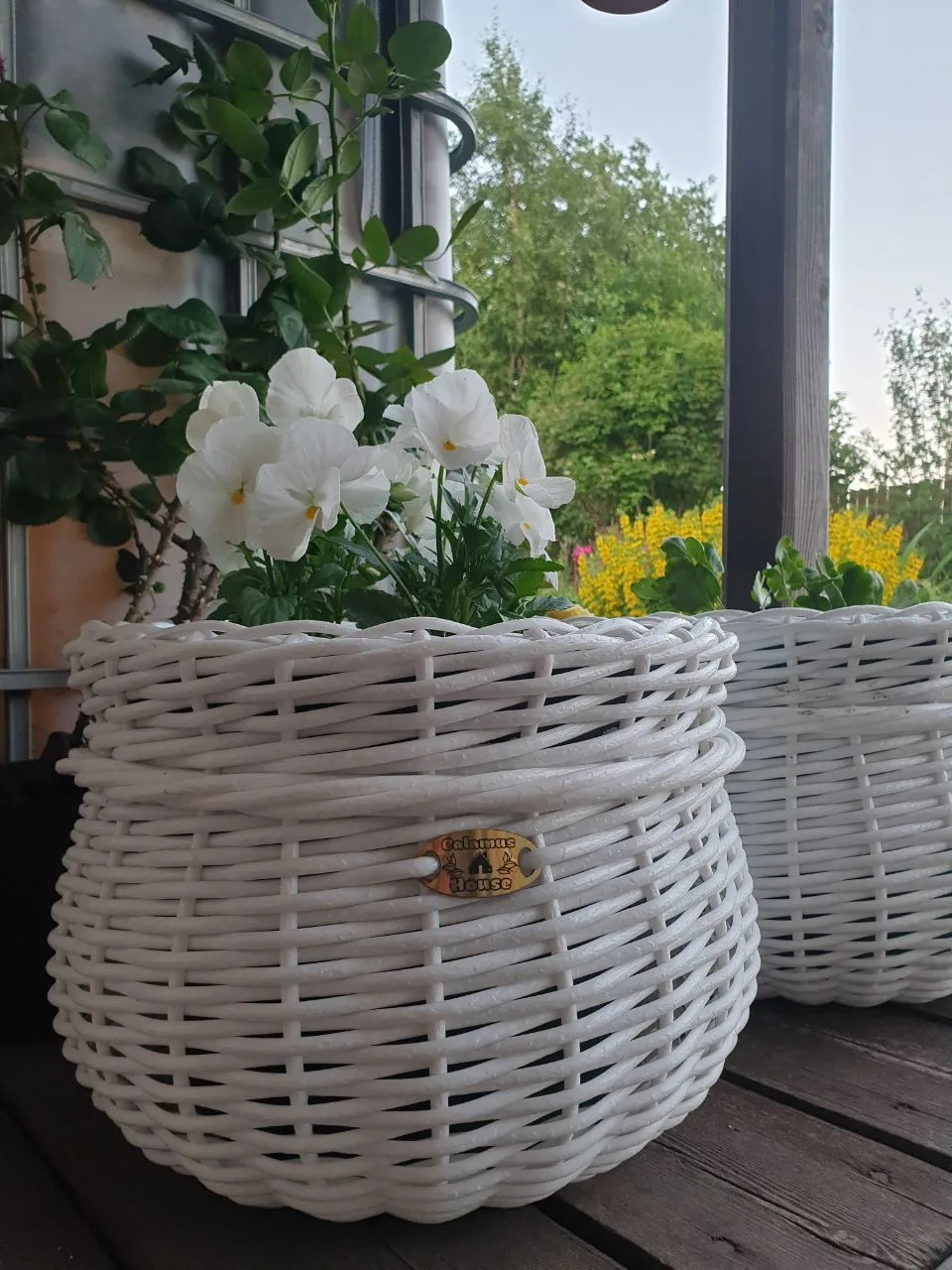 Всем бодрого утра!☀️

Видел в сети эту июльскую «грустинку» мол, лето заканчивается. Даже не думайте