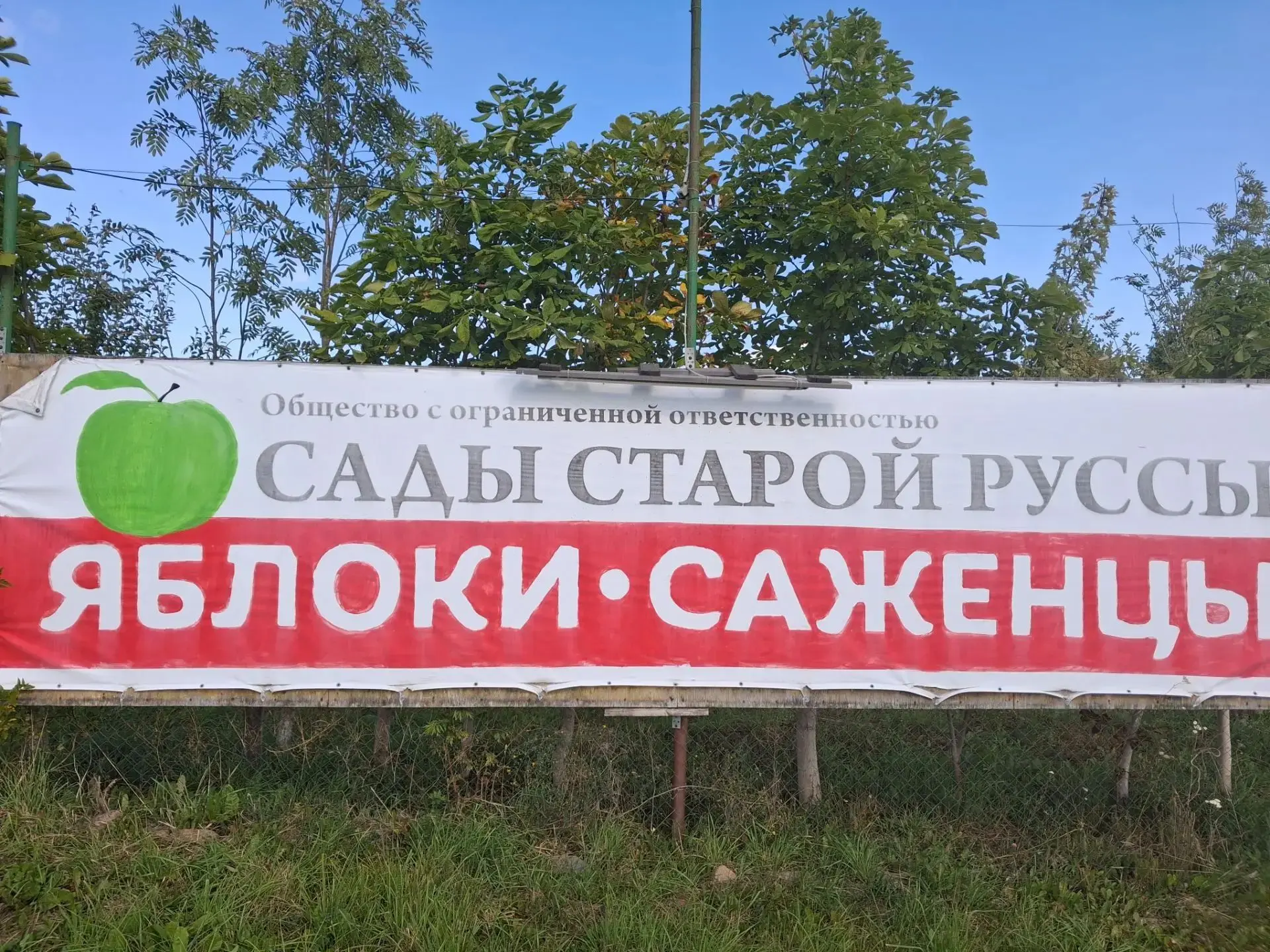 🍎Каждое лето 19 августа приходит один из самых уютных и добрых праздников - Второй Спа...