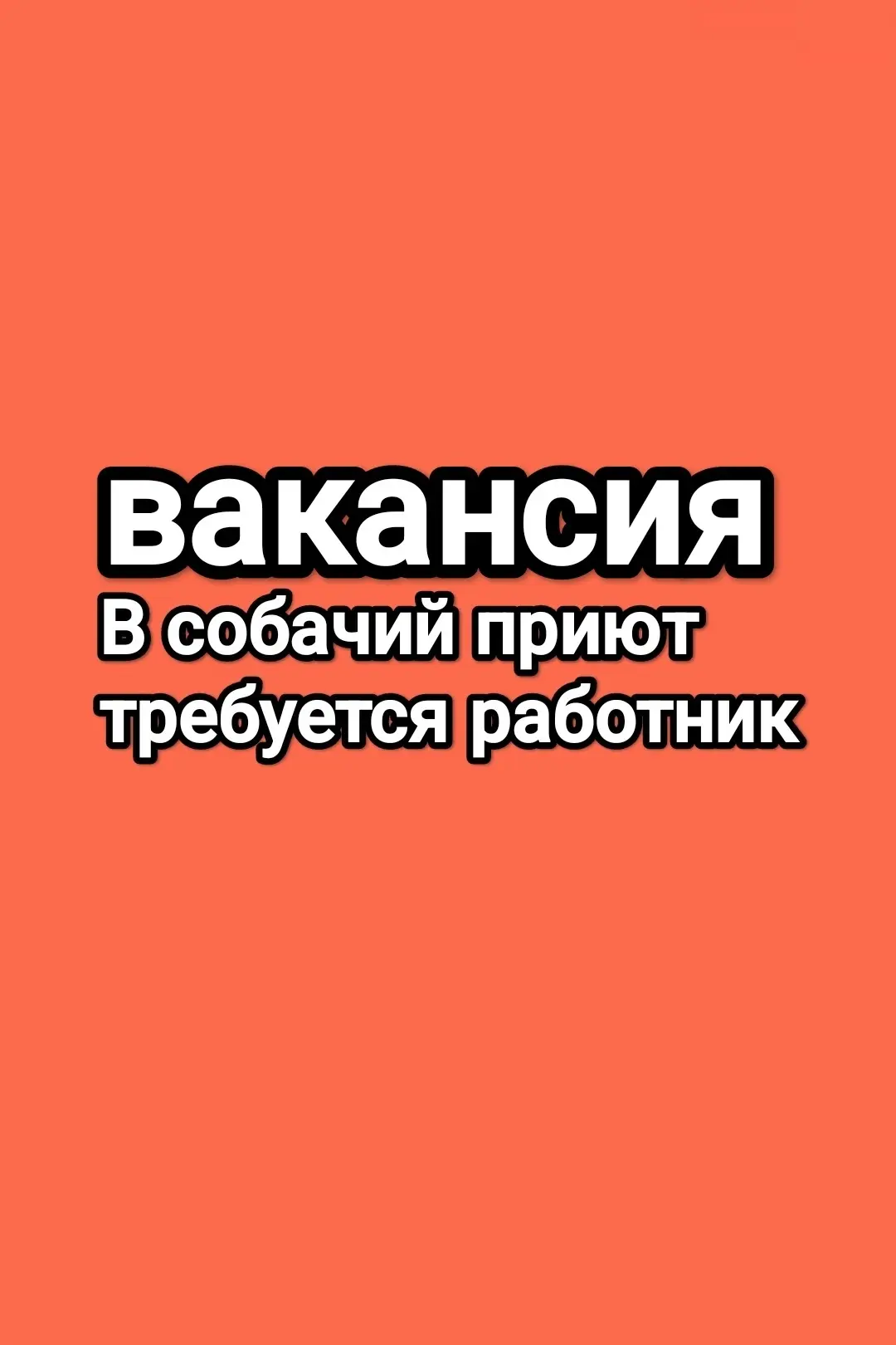 В собачий приют 'Верный друг" в Краснообске требуется работник, не моложе 30 лет.
