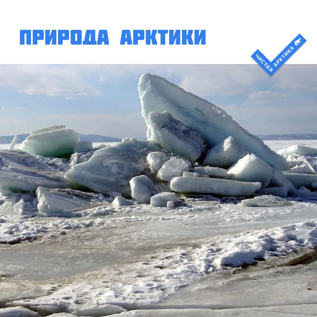 🧊 Как образуются торосы?