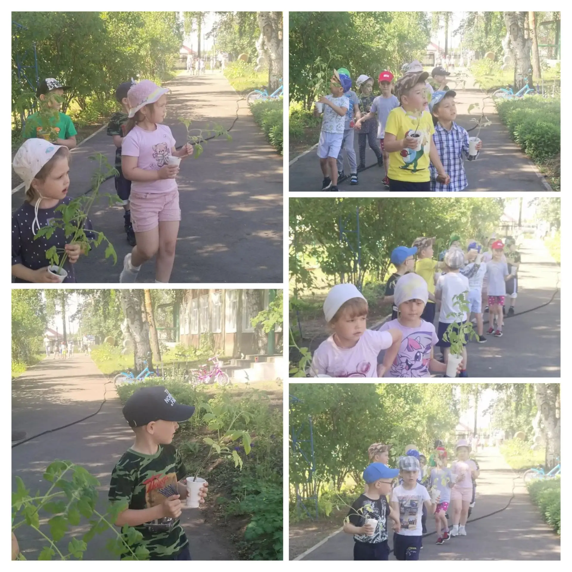Маленькие огородники в большом деле!