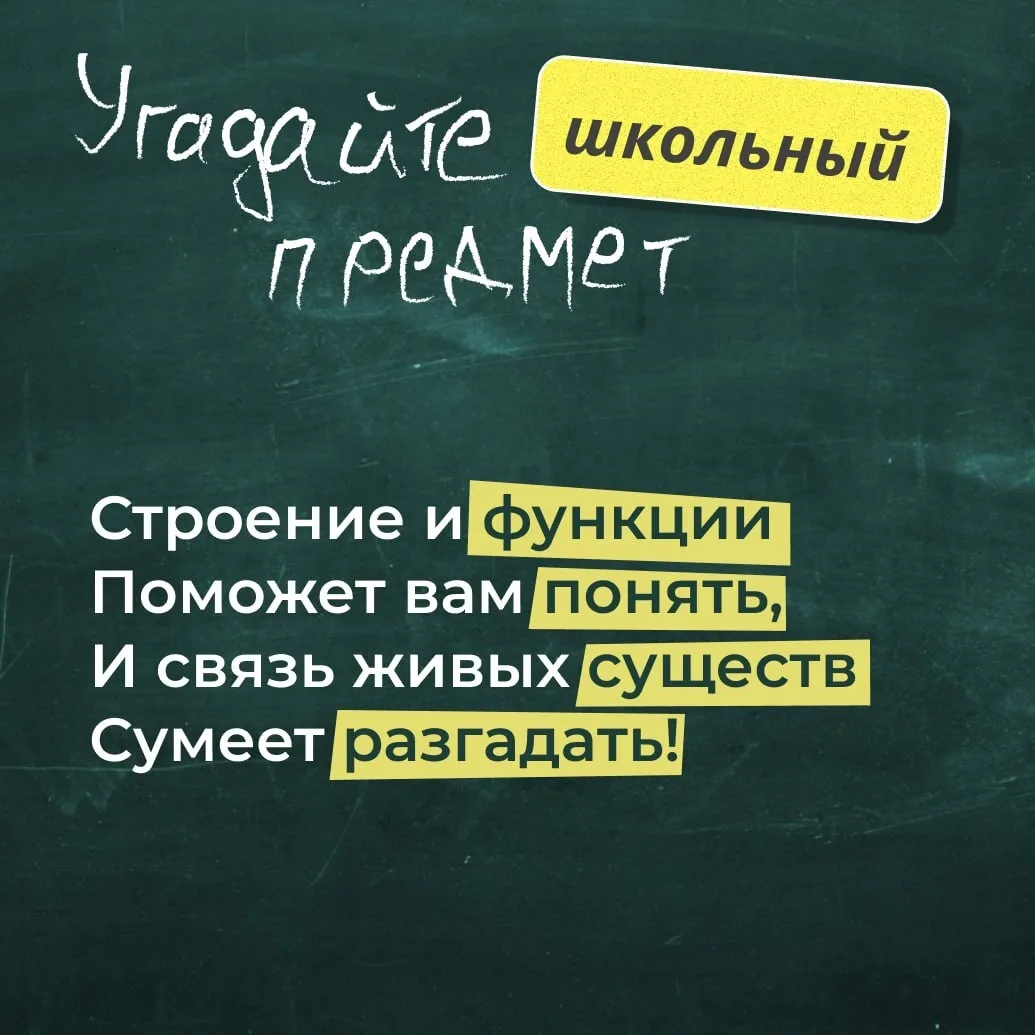 Каникулы — время отдыхать, но можно и мозги размять!