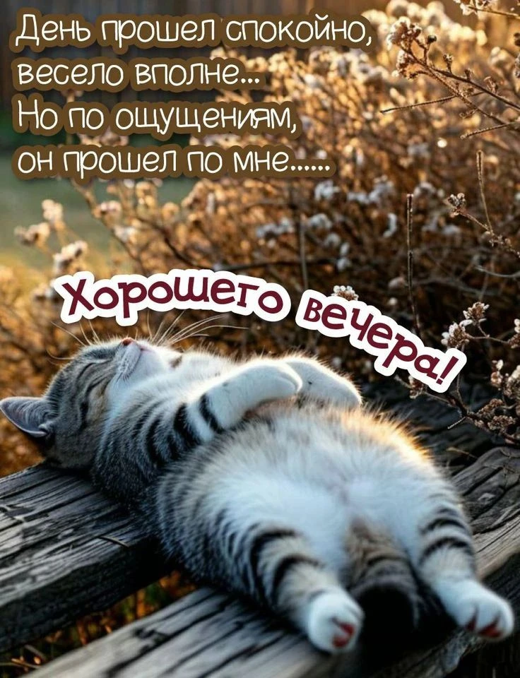 Подпишись✅ что бы не потерять нас