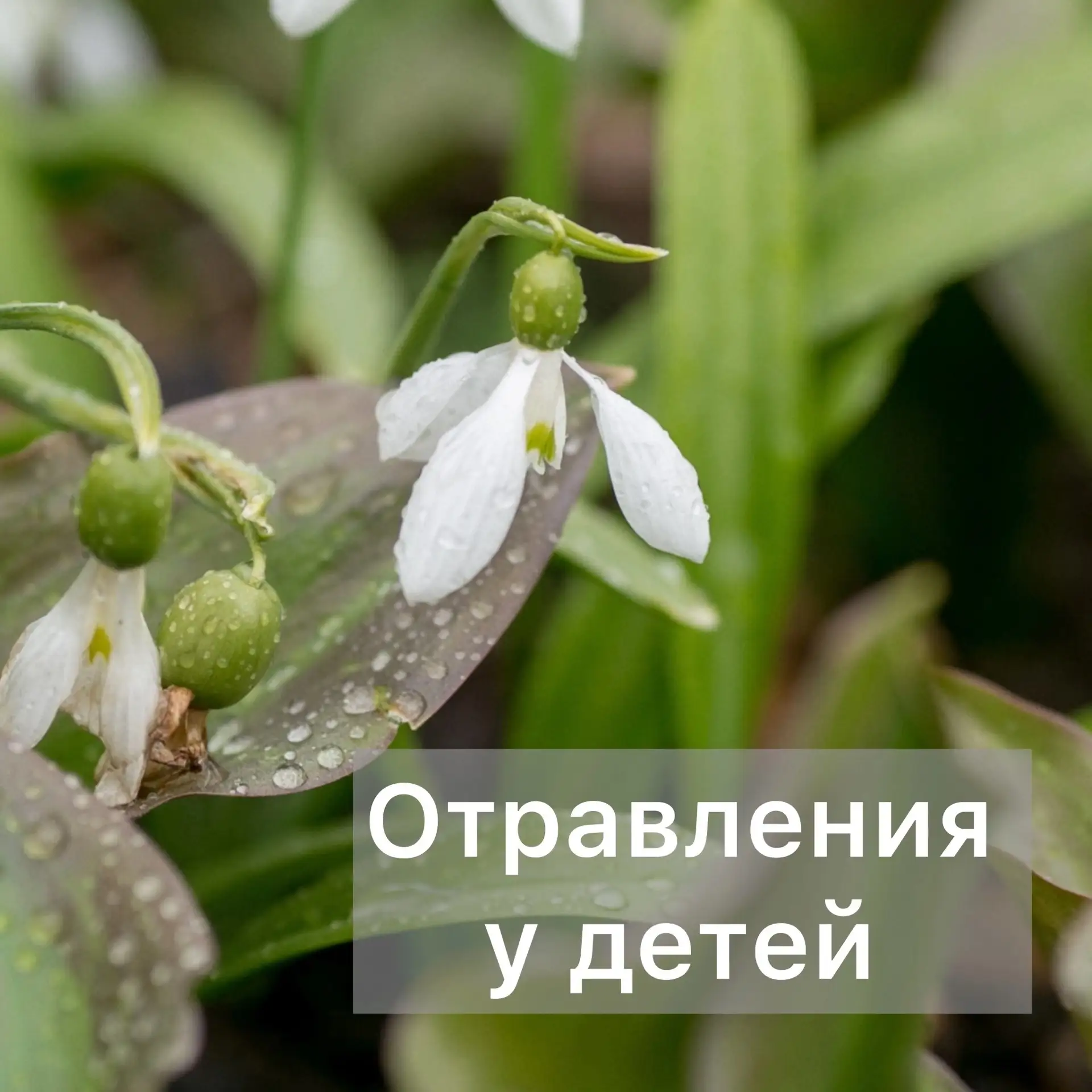Каждый год, чаще в летнее время, регистрируются отравления у детей. Поэтому прямо сегод...