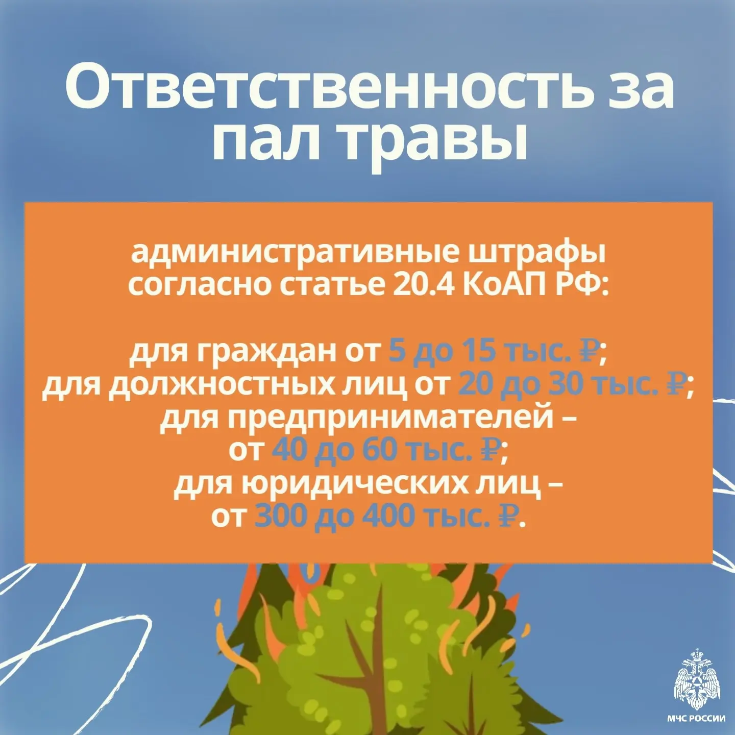 🌱 Пал травы: нормальная практика или фатальная ошибка?   О том, что делать с сухой травой, какие быв