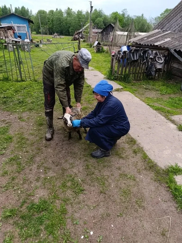 ✅Наши трудовые будни‼️