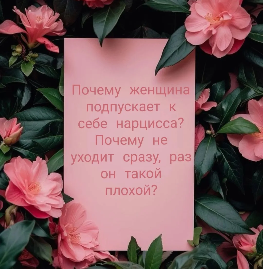 "Почему женщина подпускает к себе нарцисса? Не бежит теряя тапки, раз он такой плохой? ...
