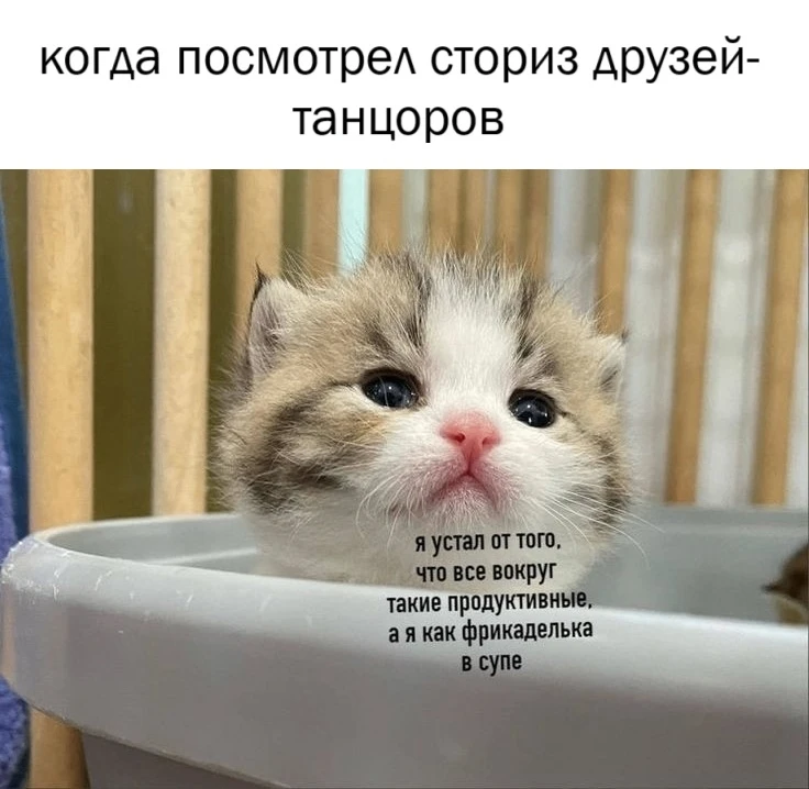 Друзья, напоминаю, что по средам у нас с вами факультативное занятие, которое подразуме...