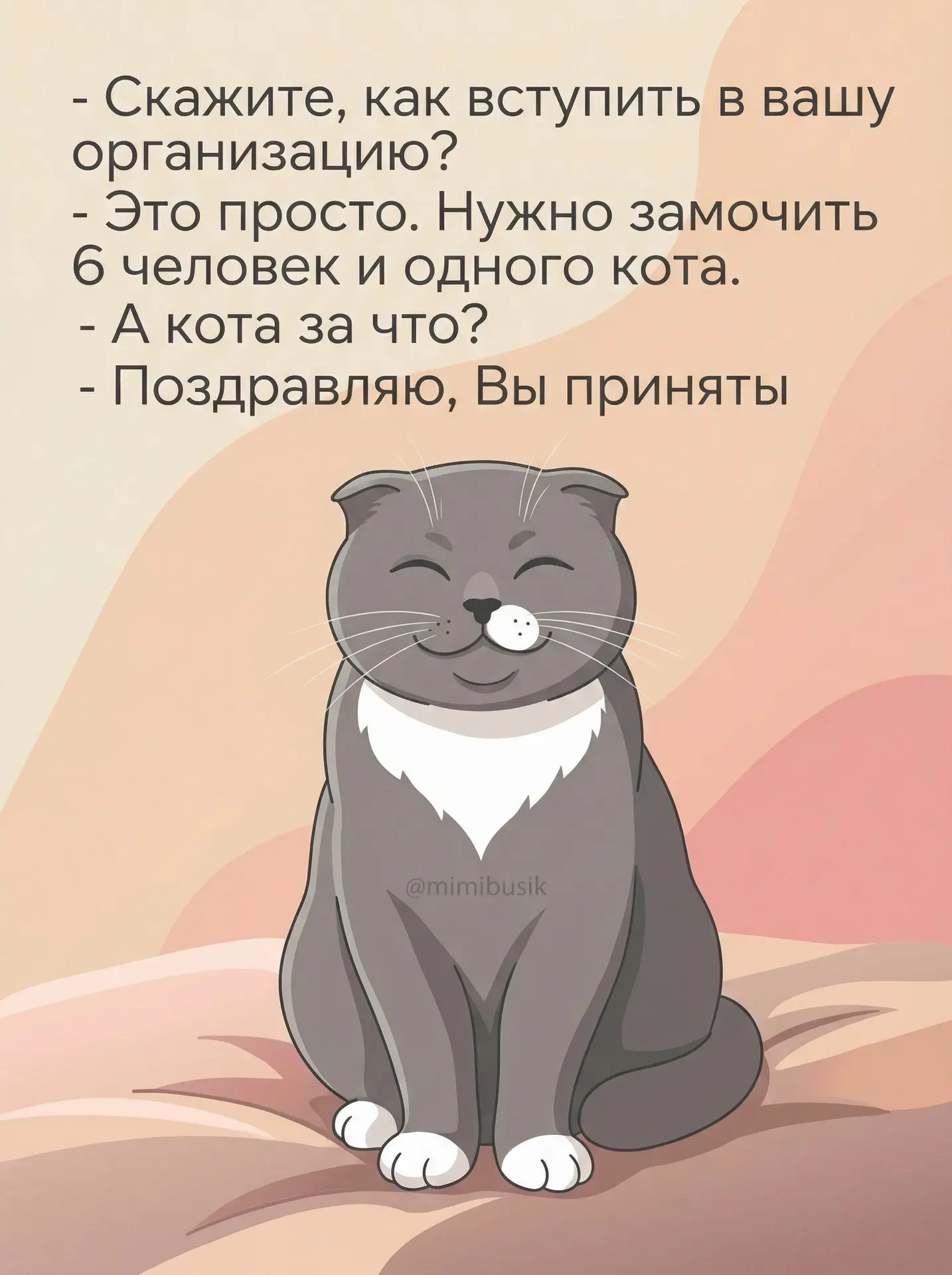 Признавайтесь, вы бы тоже первым делом уточнили про кота?