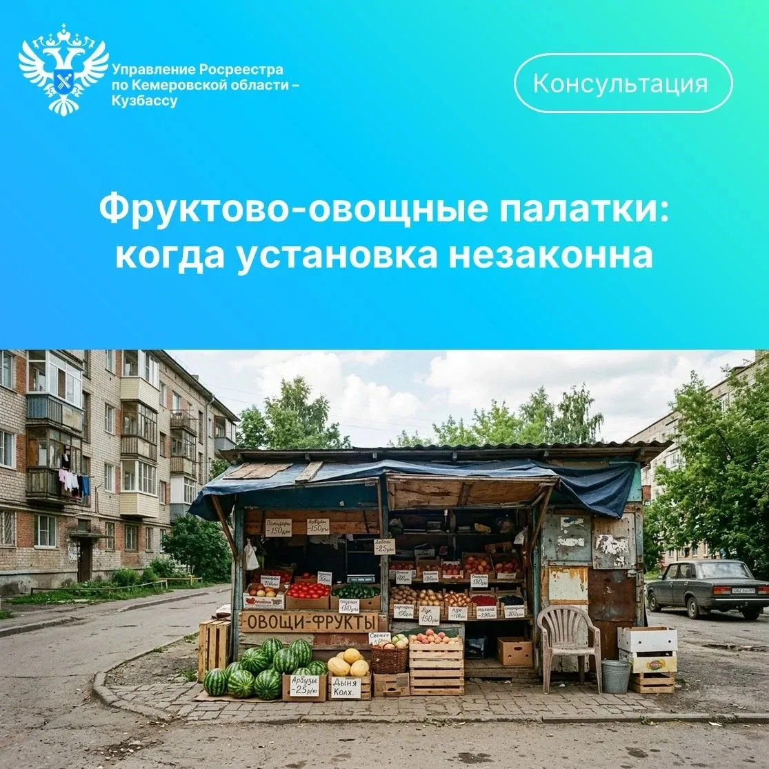 🍎 Летом на улицах появляются фруктово-овощные палатки. Закон относит их к нестационарным торговым о