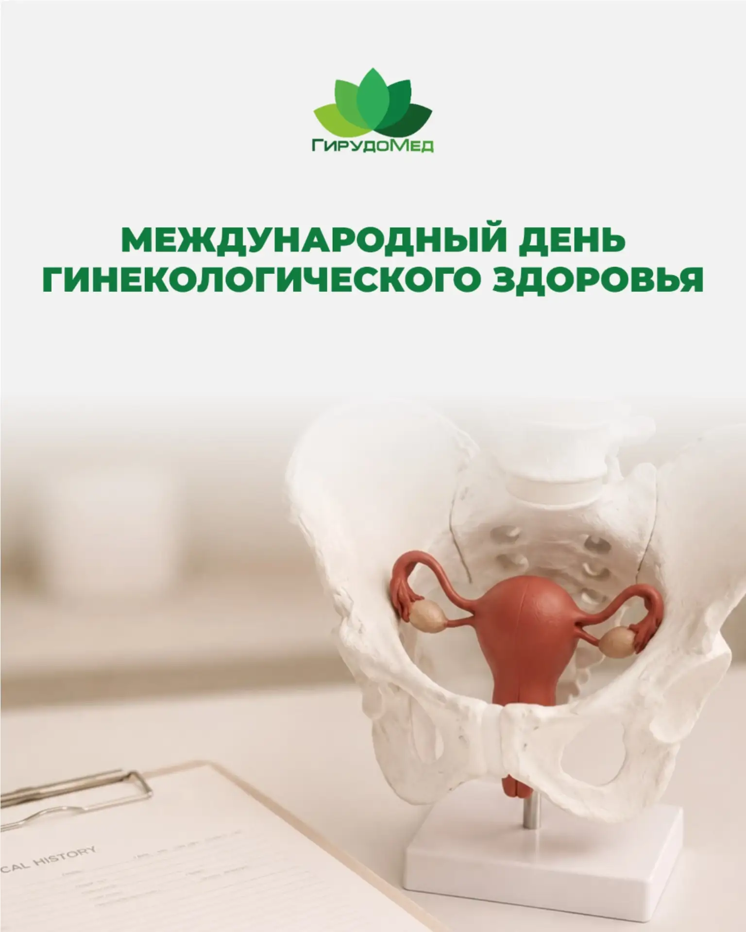 Вчера был Международный день гинекологического здоровья 💚