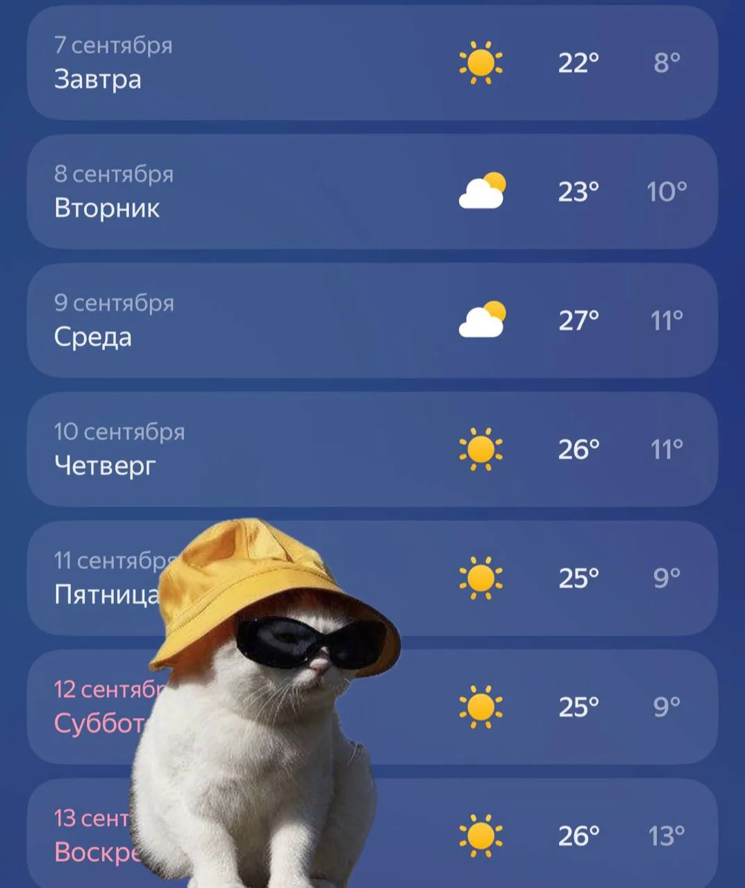 Солнечная и тёплая неделя ждёт красноярцев ☀️